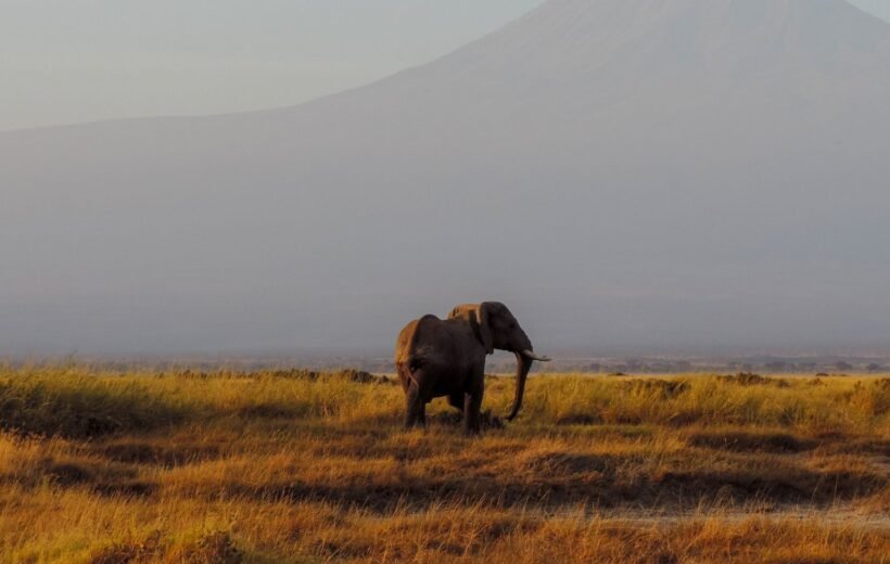Maravillas de Kenia y Tanzania I – Categoría Superior