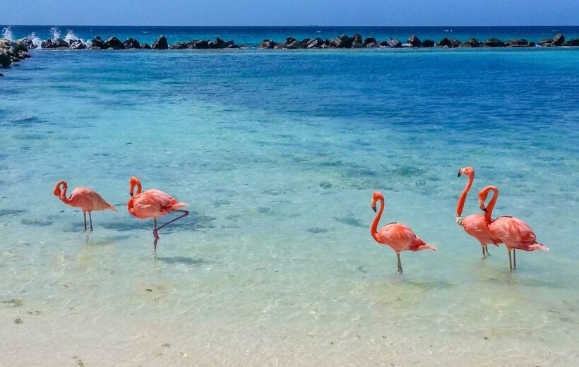 Aruba – Feriado de Noviembre 2026