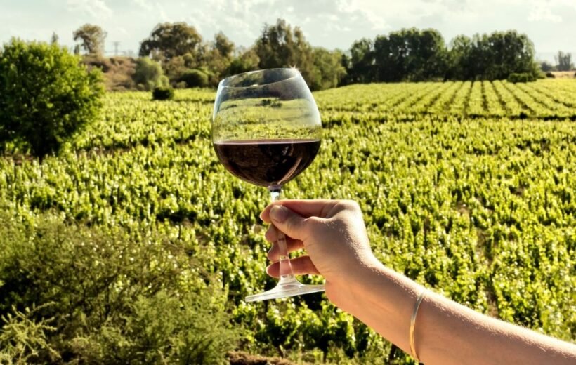 Ruta del Vino – Buenos Aires & Mendoza