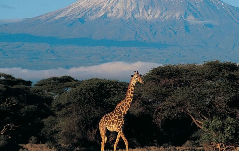 Tanzania y Kenia Inolvidables