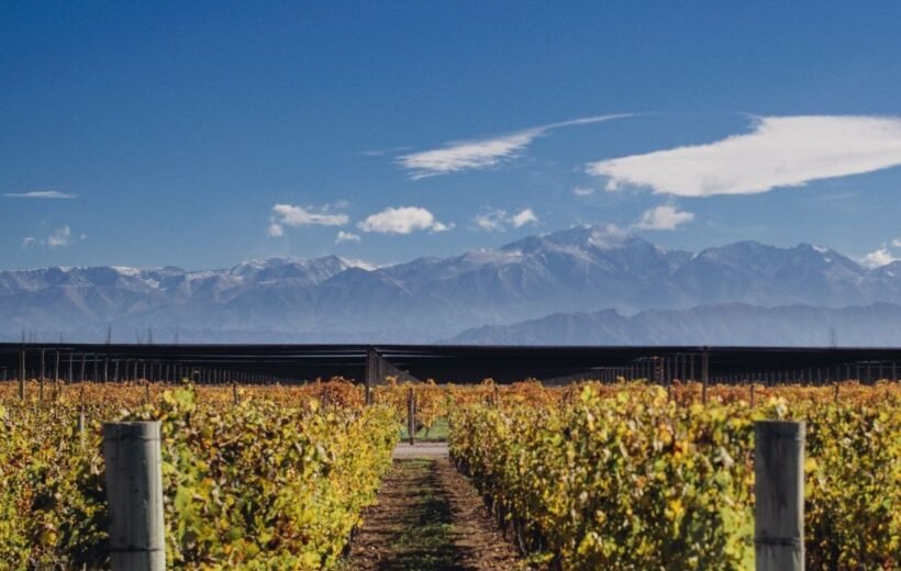 Mendoza