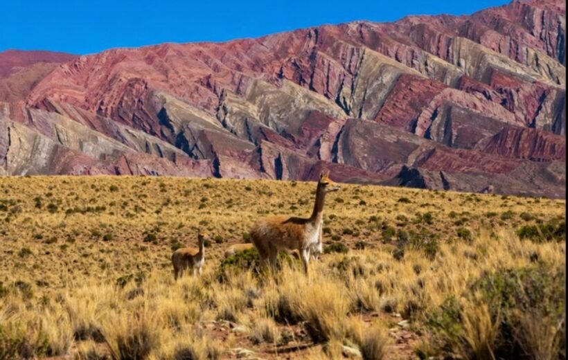 Salta & Quebrada de Humahuaca